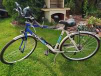 Rower Esperia SR 28
