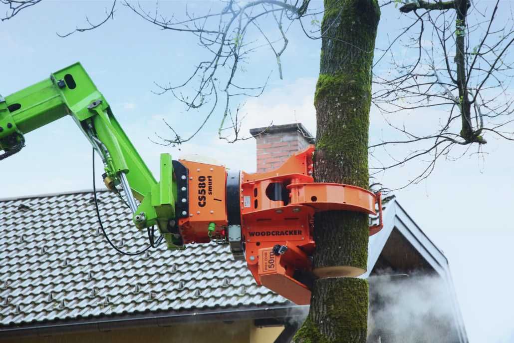 wycinka drzew za drewno, pielegnacja i  mulczowanie terenów