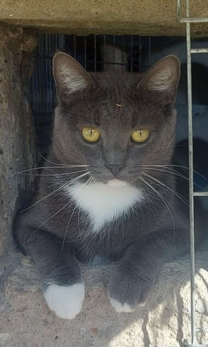 Franio czeka na Ciebie