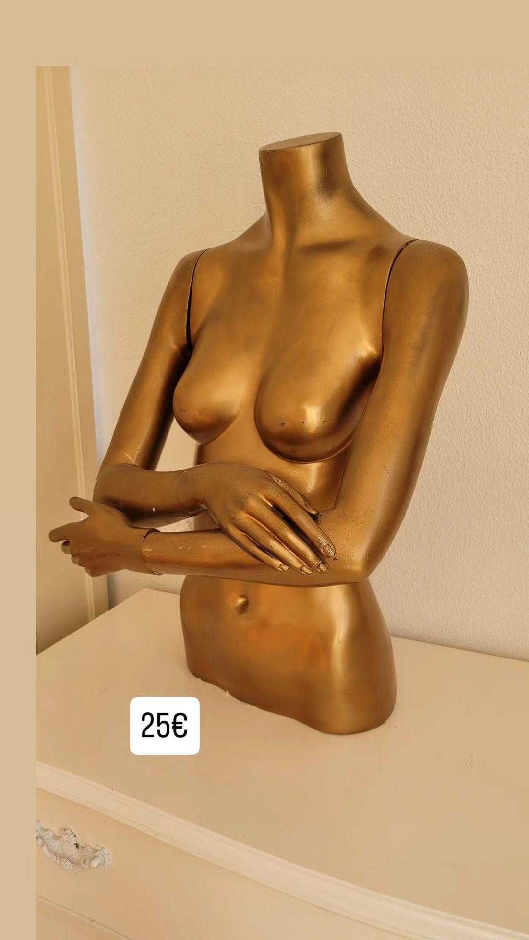 Busto feminino 2x