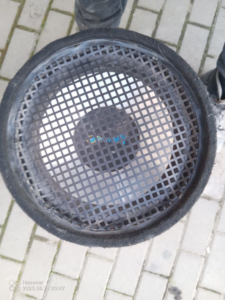 Tuba basoea Blaupunkt