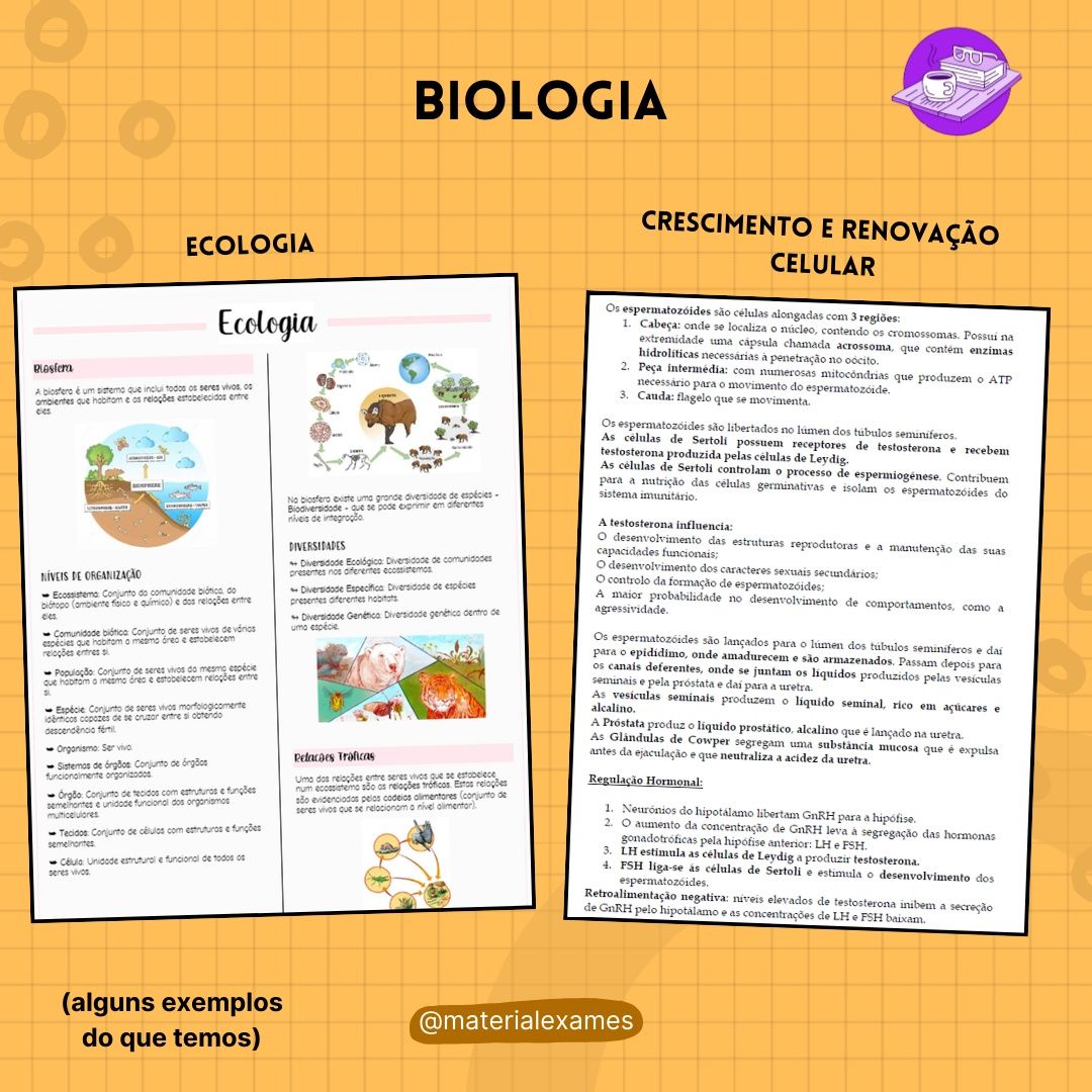 Resumos de Biologia e Geologia para Exame