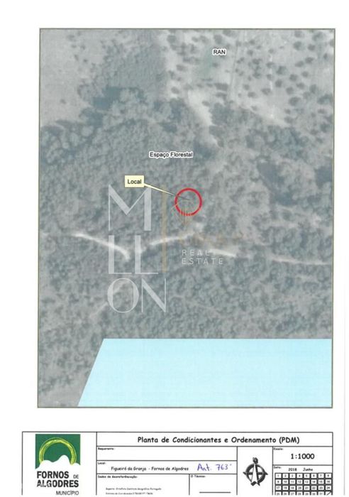 Terreno de Pinhal- 763