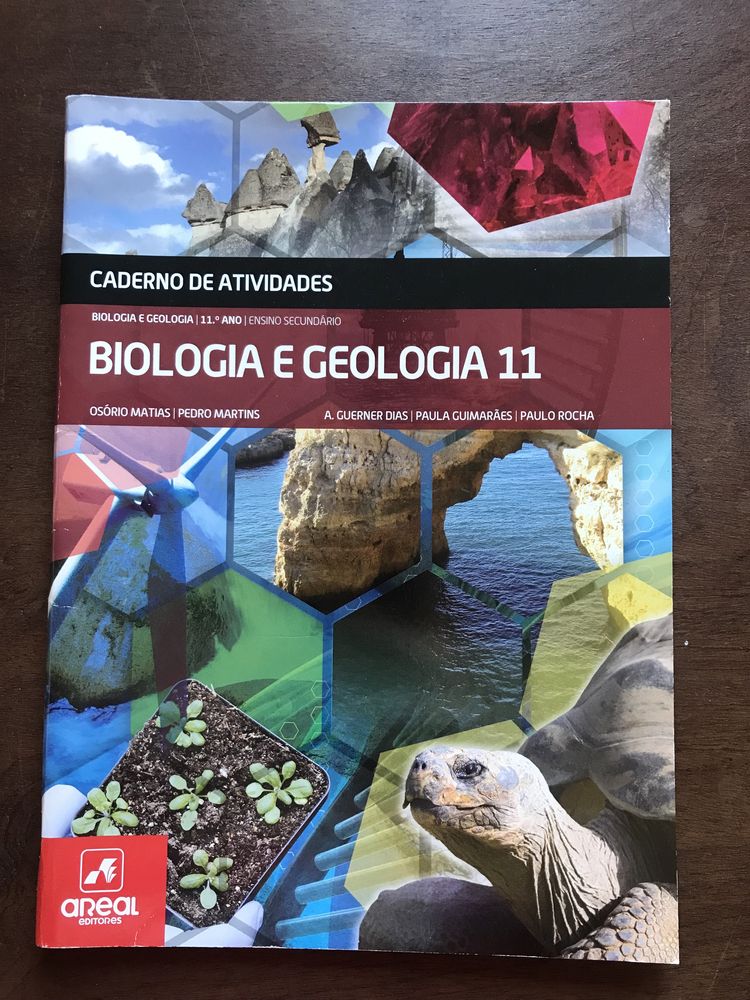 Caderno de atividades 11° ano de várias disciplinas