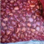 vendo castanhas de carrazedo de montenegro l