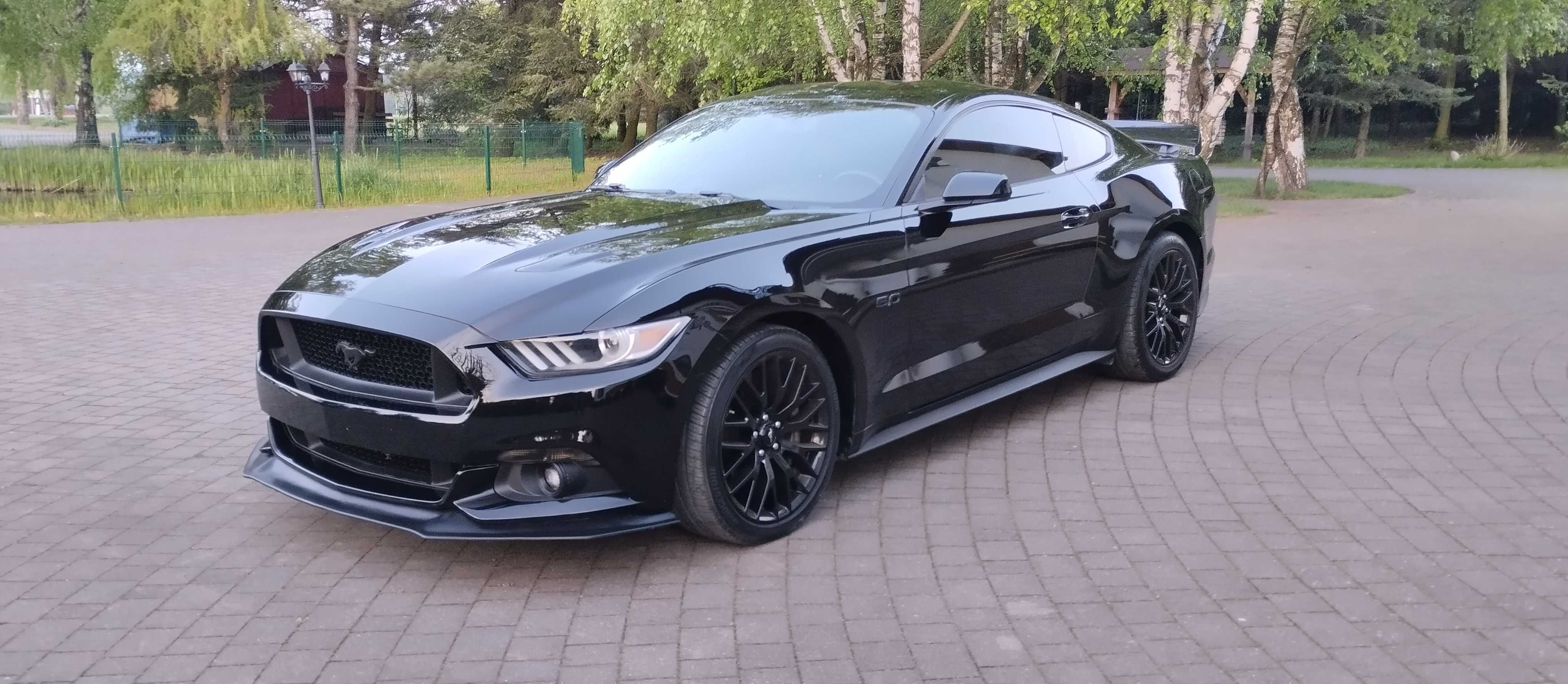 Ford Mustang VI 2015 5.0 wydech dolot Roush Manual