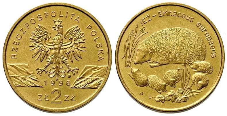 moneta 2zł Jeż Erinaceus Europaeus z obiegu rok 1996