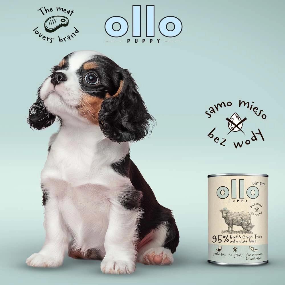Ollo Puppy Umami Wołowina I Zielone Żwacze 400G Karma Mokra Dla