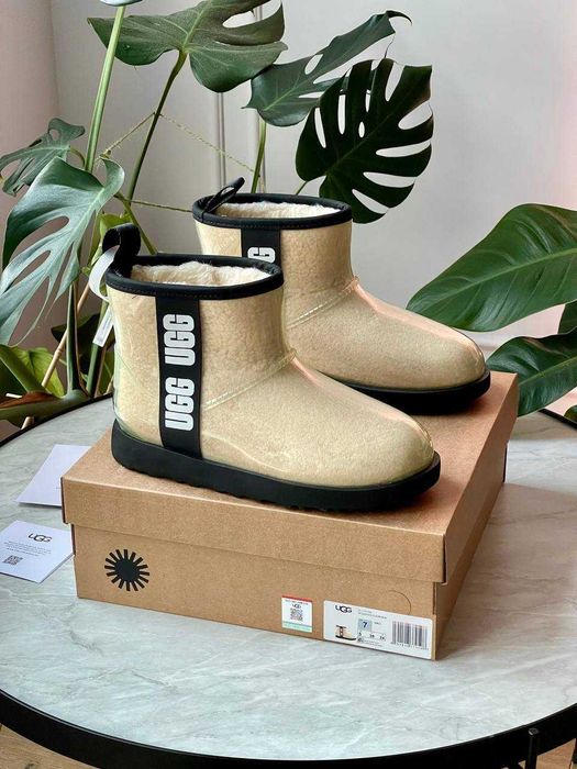 Женские сапоги UGG Classic Clear Mini Boot 36-41 Натур Овчина! Купить!