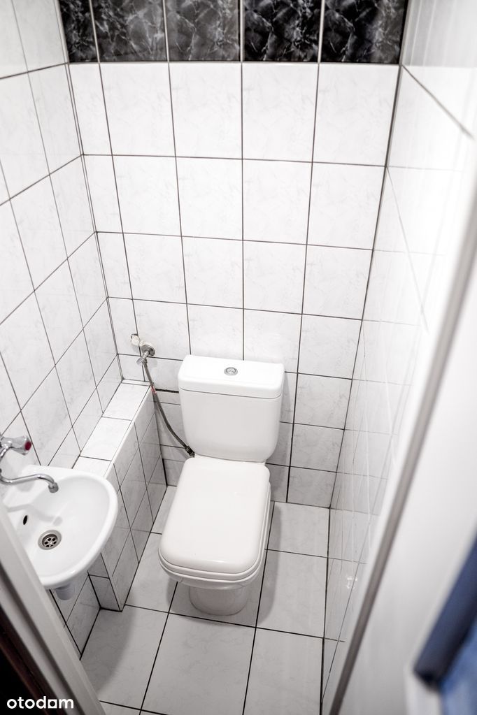 Słoneczne, 3-pokojowe mieszkanie przy lesie