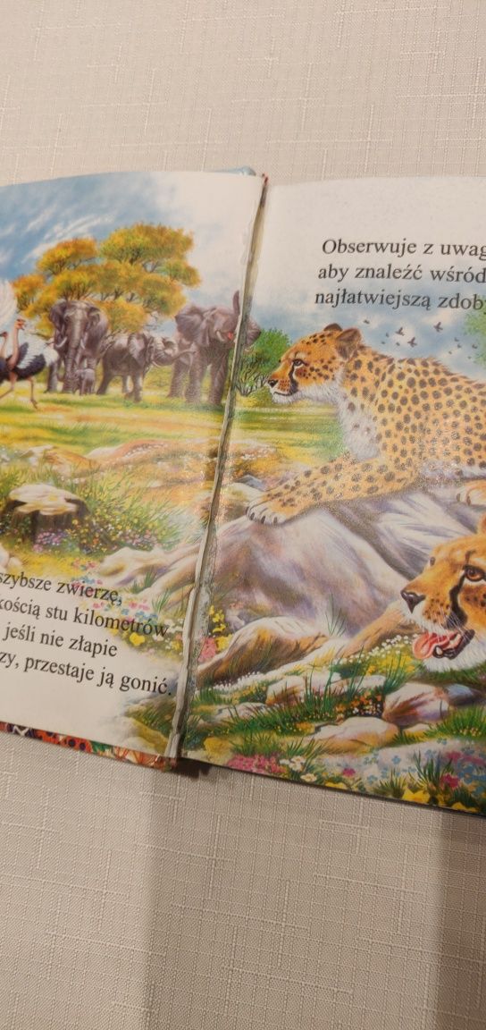 Książka "250 ciekawostek o zwierzętach".