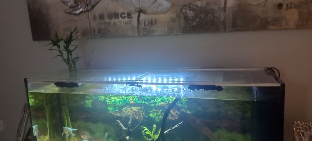 Aquario  semi novo