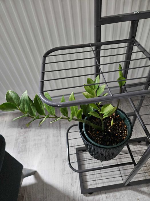 Kwietnik stojak na kwiaty rośliny duży 6 poziomów