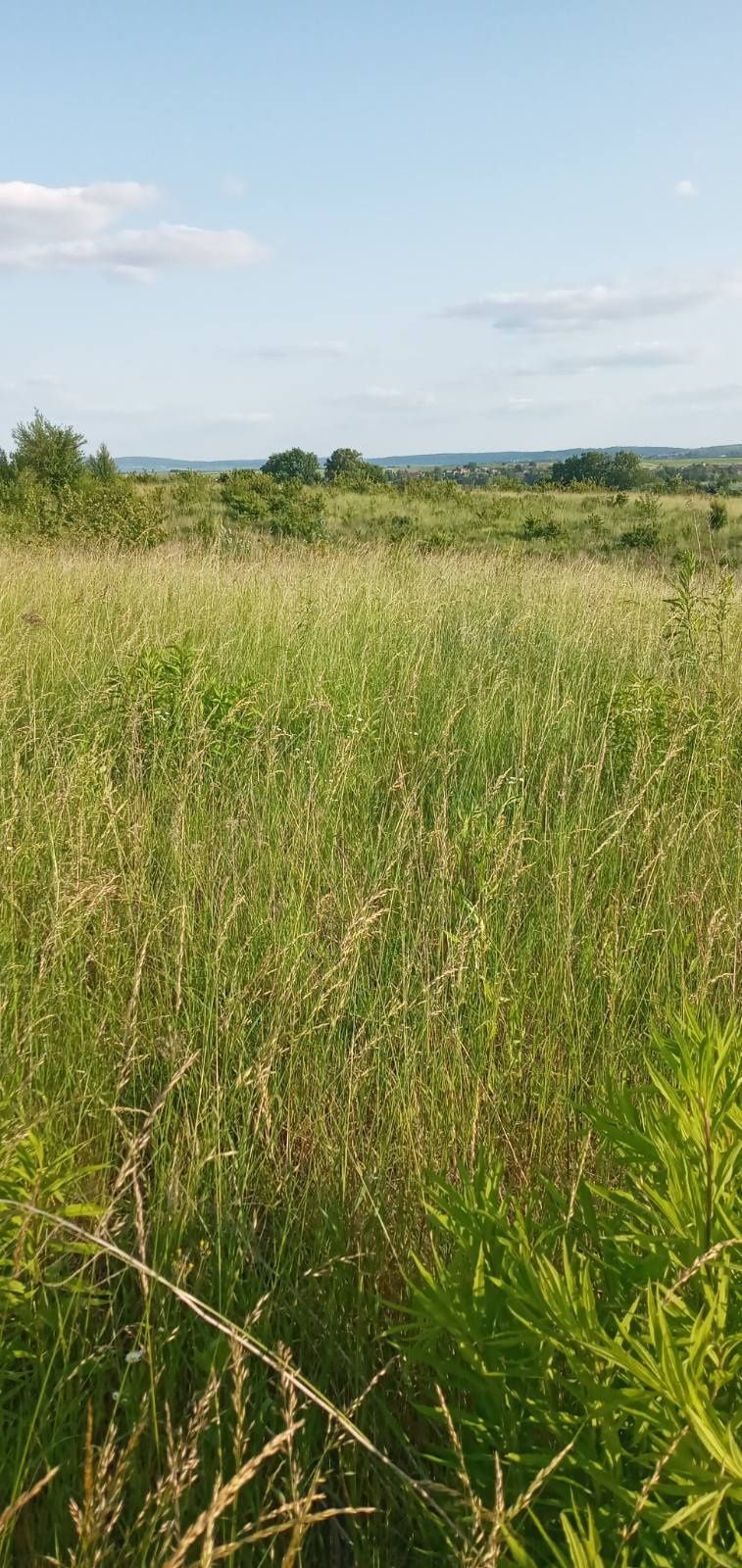 Продається ділянка під забудову в хорошому районі в селі Підберізці