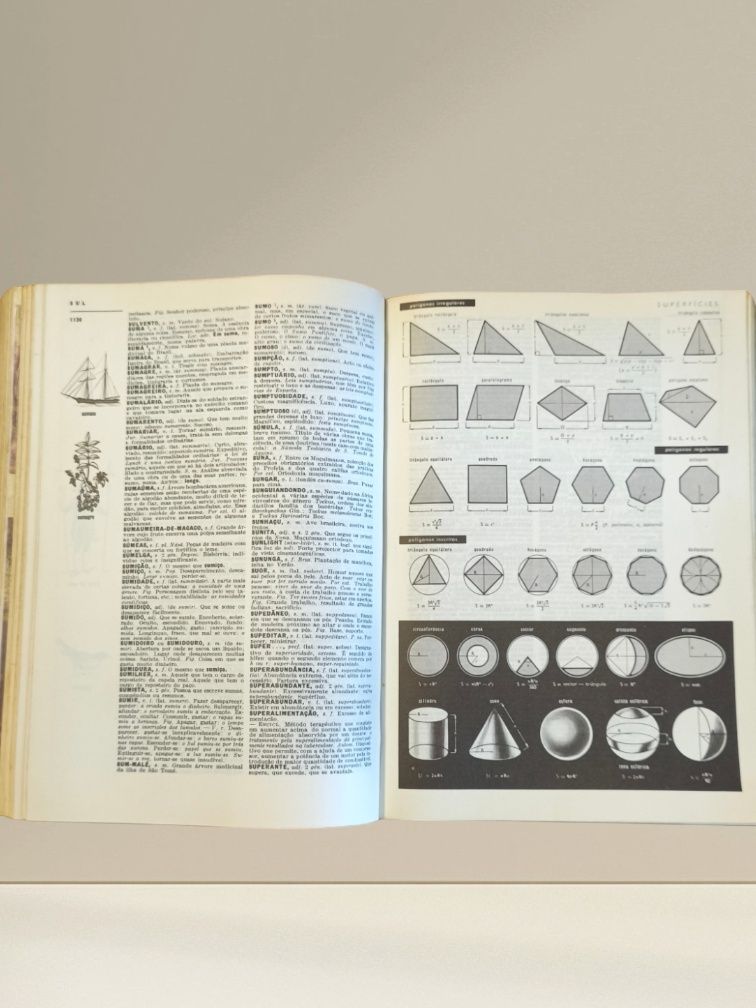 Dicionário Prático Ilustrado