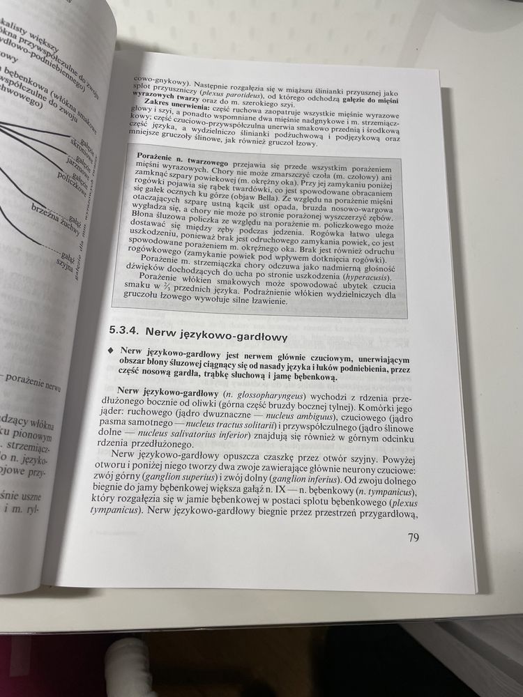 Neuroanatomia czynnościowa i kliniczna Narkiewicz