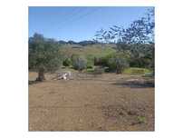 Terreno / Quinta para venda