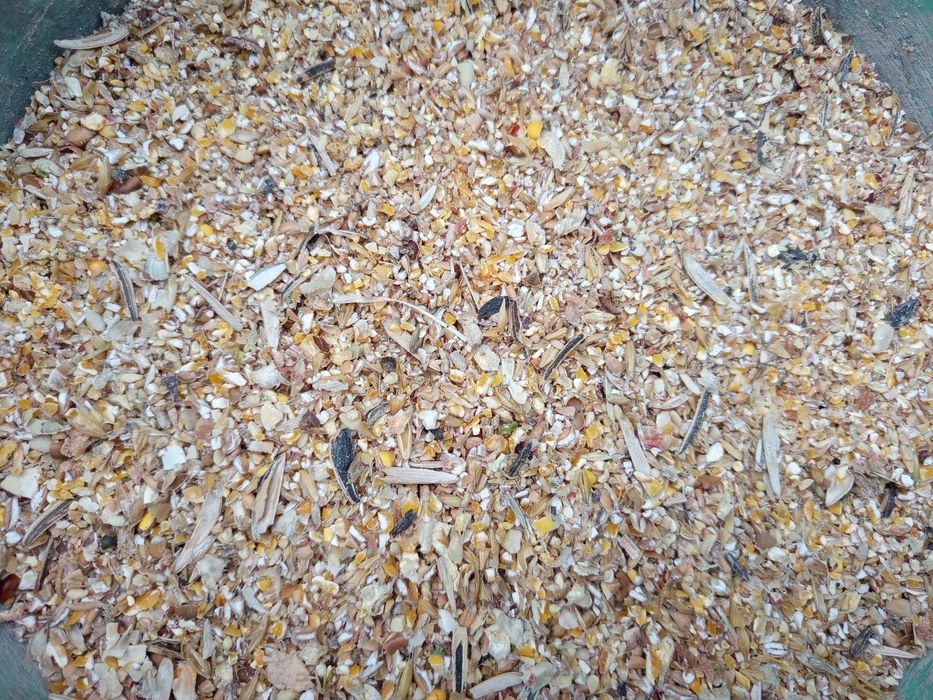 Karma dla ptaków zimujących, wabik na ptaki, 5kg