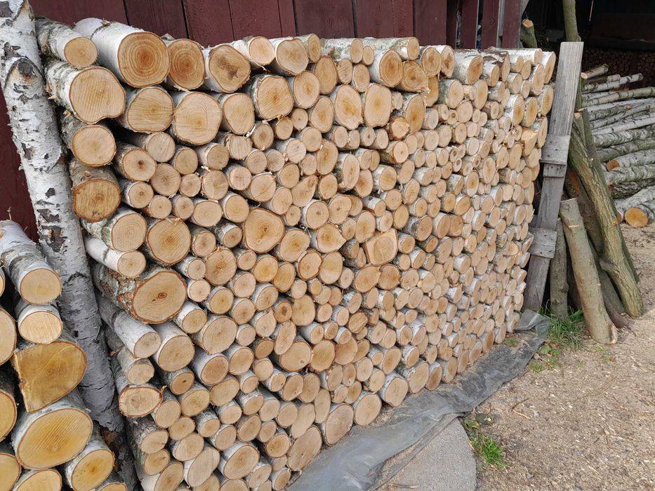 Drewno kominkowe brzoza