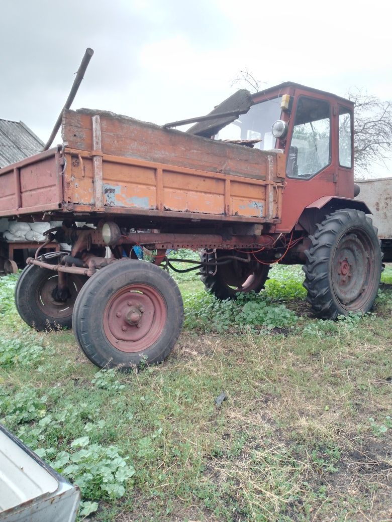 Продам Трактор Т-16