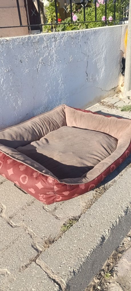 Caminha de cao com almofada
