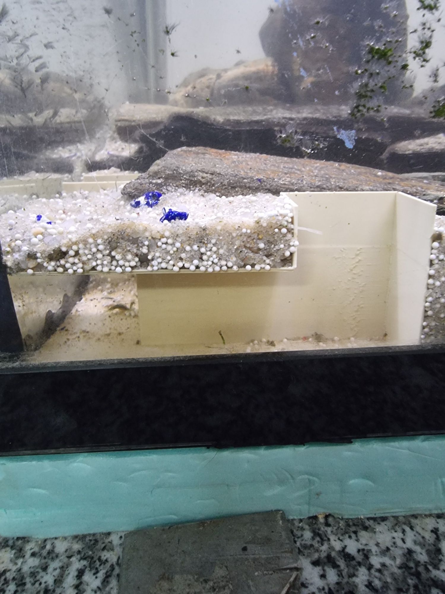 Túnel para aquario