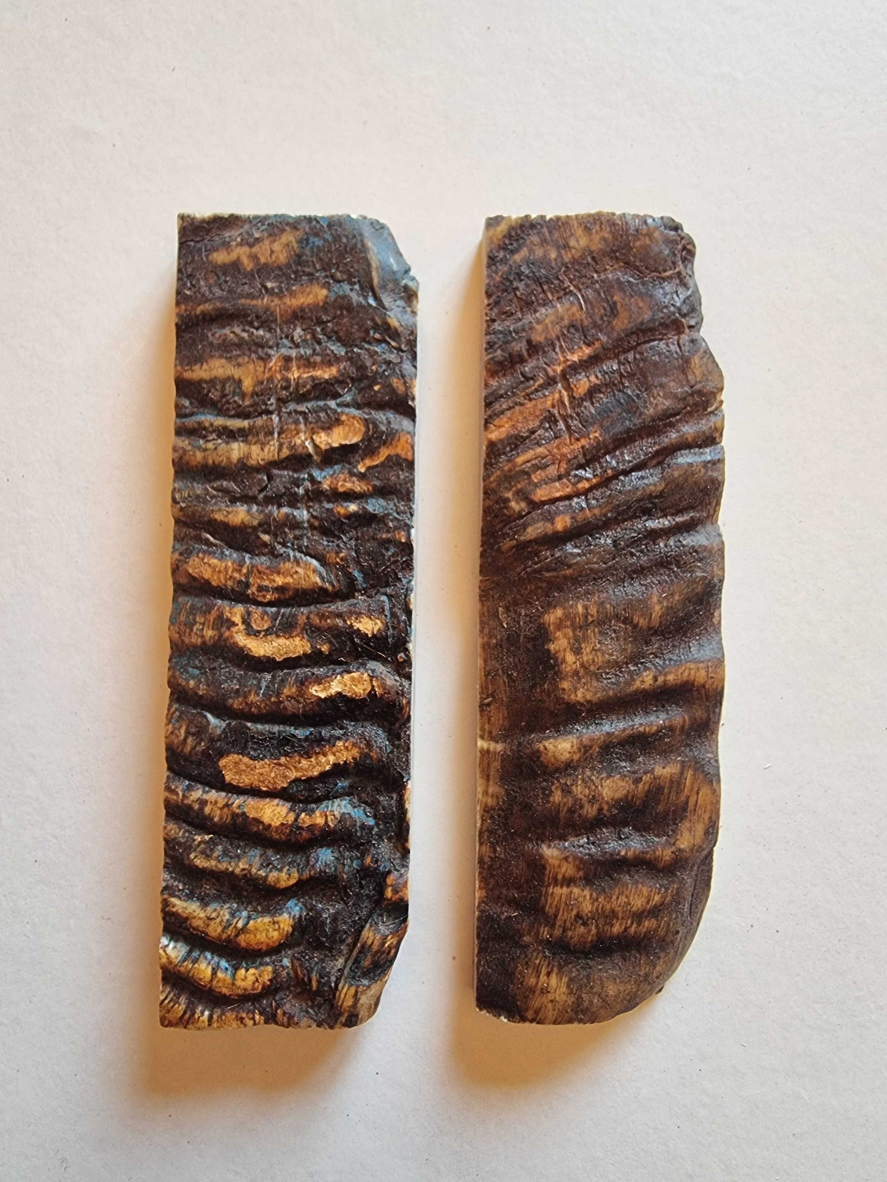 Talas de Carneiro