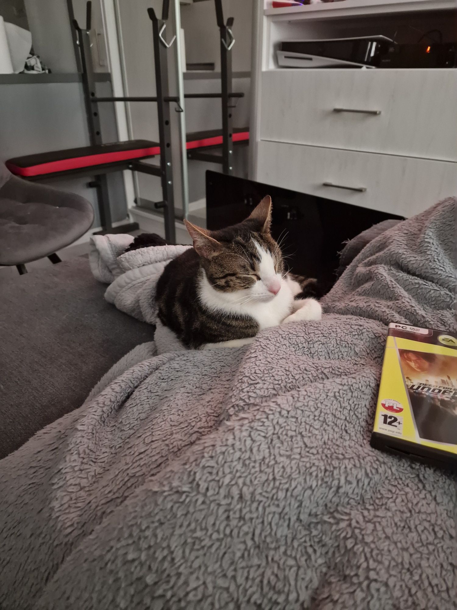 Kotek 1,5 roku :-)