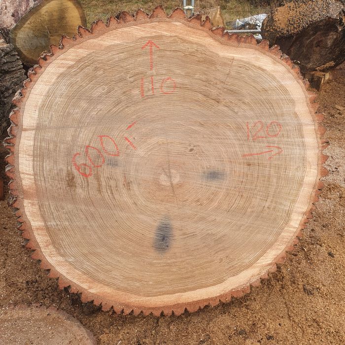 Plastry drewna na stoliki kawowe