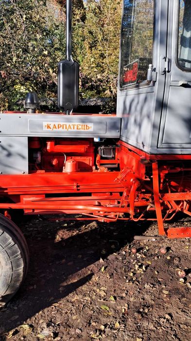 Продається карпатець