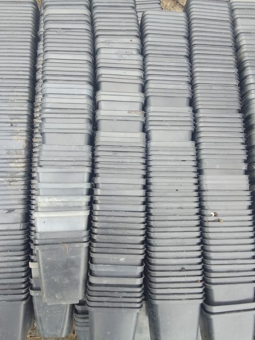 Doniczki produkcyjne P9 0,10zl