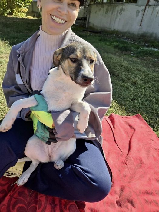 NADZIEJA – 5 mięs. Kochana sunia