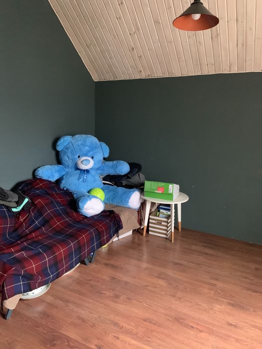 Котедж з ремонтом 120м2 с.Крушинка в 16км від Києва