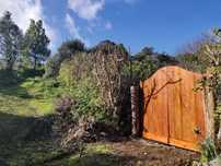 Terreno com pomar 3000m2