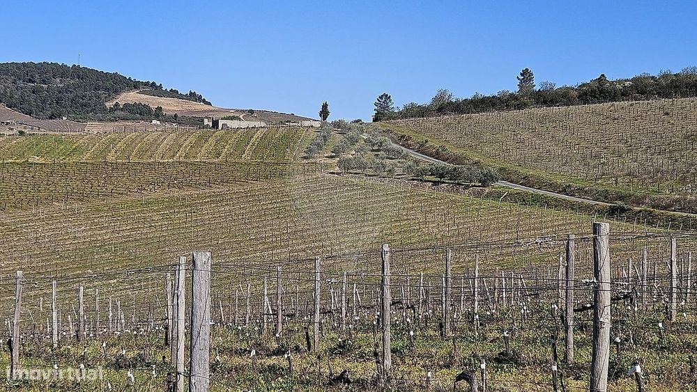 Terreno  para venda