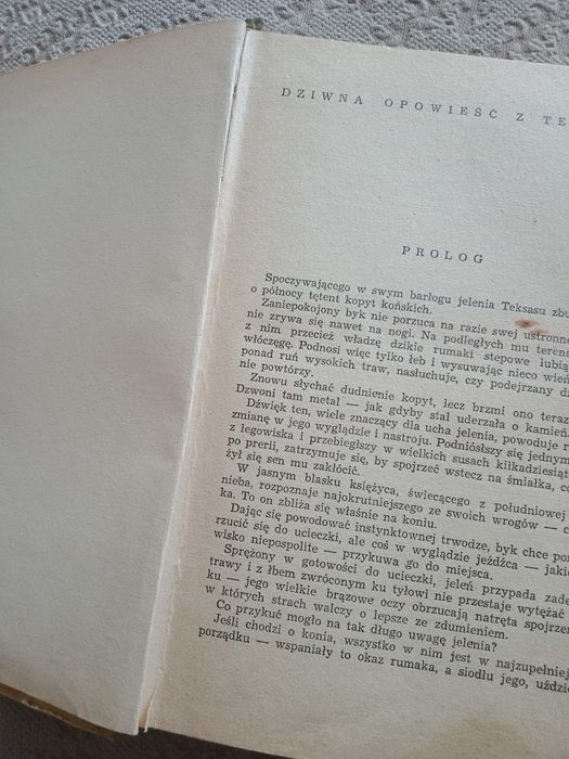 Mayne Reid Jeździec bez głowy