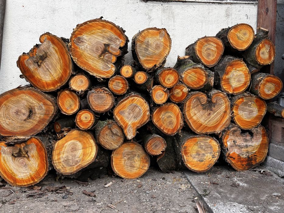 Drewno czereśni idealne do wedzenia