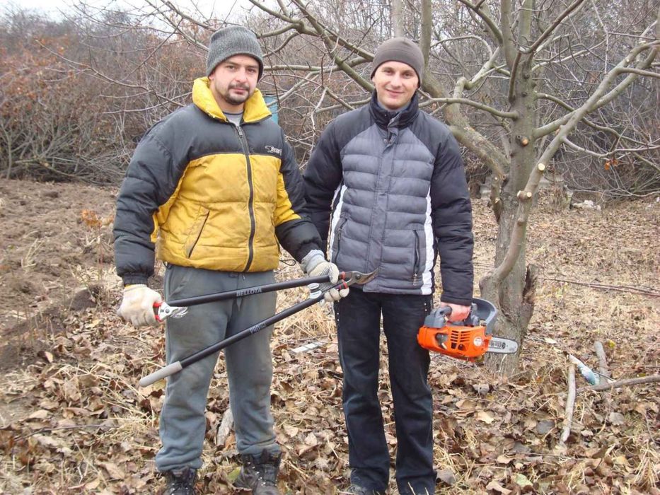 Обрізка фруктових дерев формування крони обрізати сад