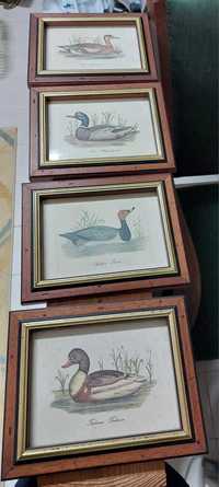 Quatro quadros com decoração de patos