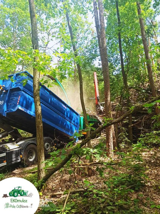Wycinka Zrębkowanie Pozyskanie biomasy Oczyszczanie działek Skup