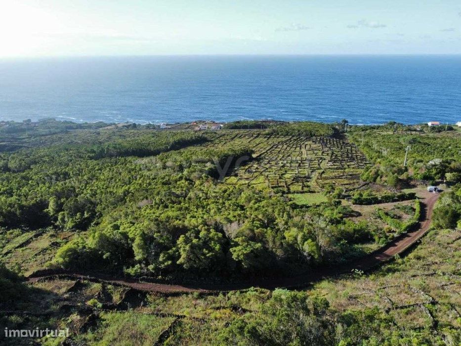 Terreno em zona típica da ilha do Pico com vista mar e montanha