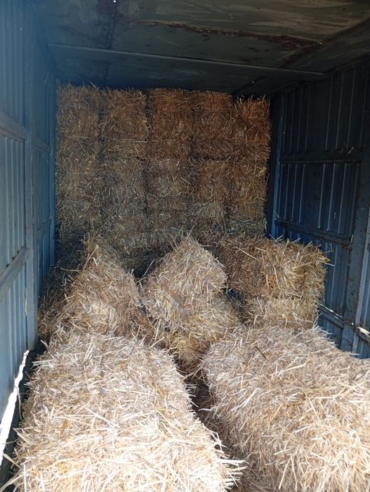 Продам солому в круглых квадратных тюках