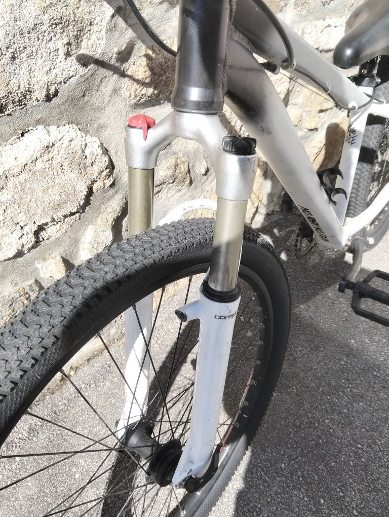 Bicicleta de Dirt/Whelling