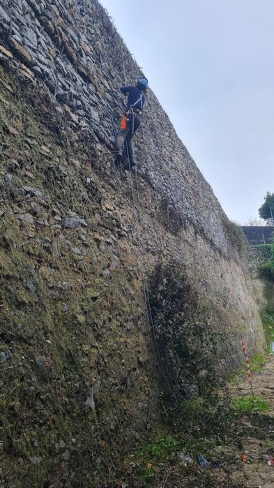 Limpeza de terrenos