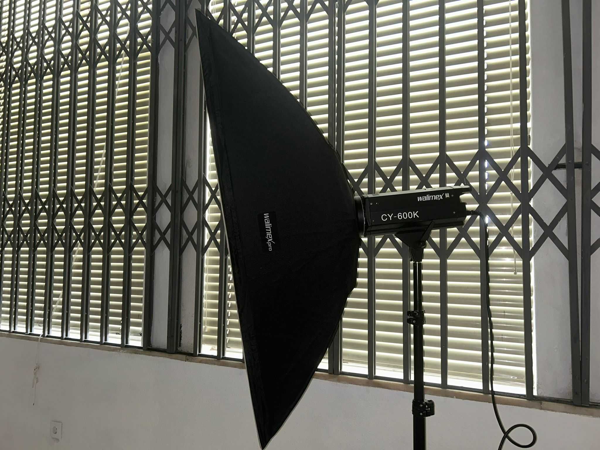 2 Flashes Strobe Wallimex CY 600K + softboxes 30x120 + guarda chuvas
