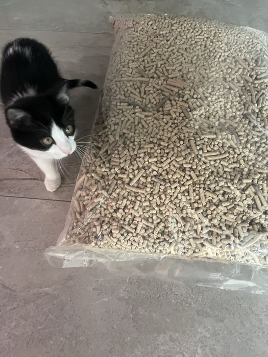 Pellet ekologiczny jako zwirek dla kota krolika 15kg