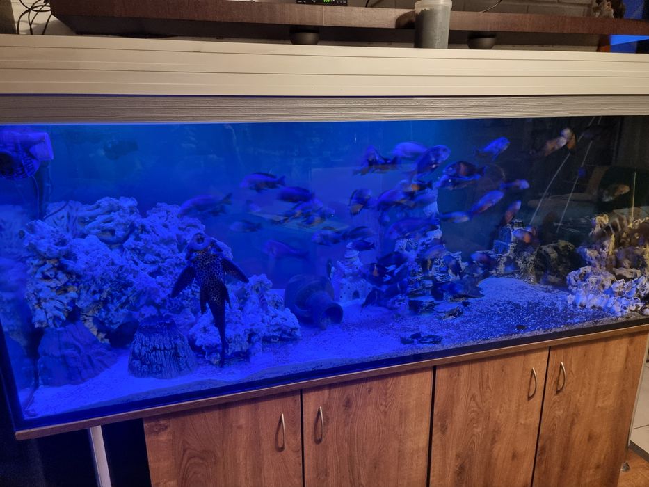 Akwarium 840l kompletne