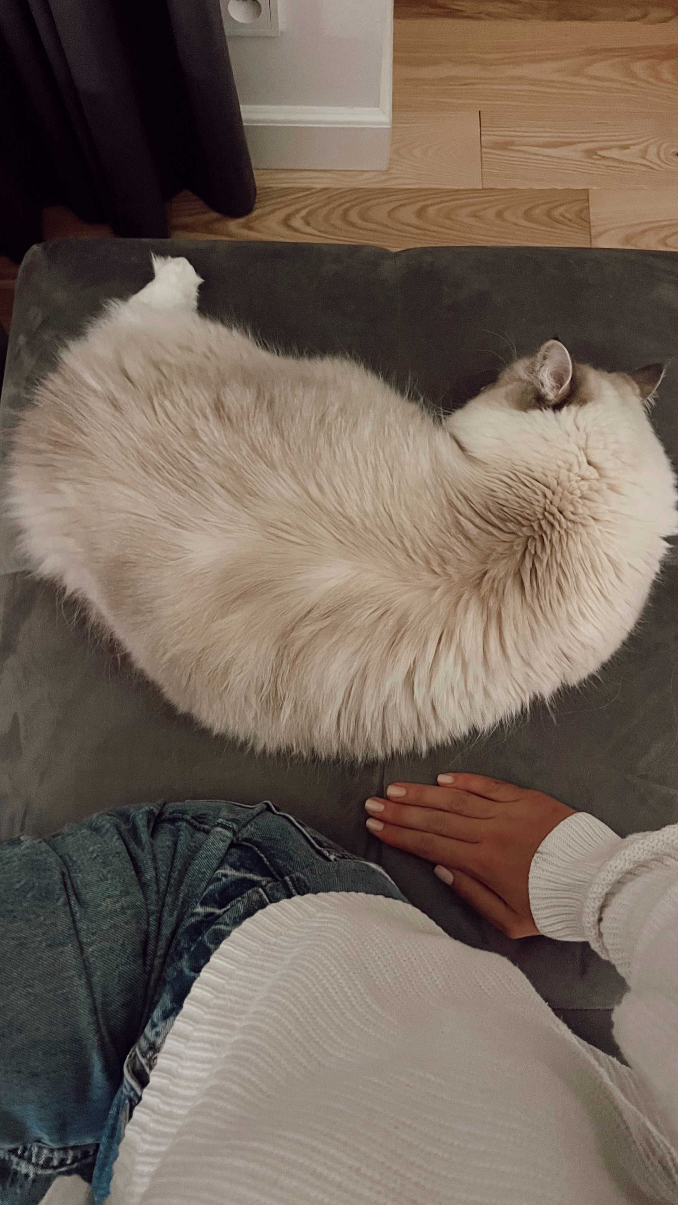 Olga petsitter na Petsy.pl, ceny od 35 zł, 10% rabatu z kodem POZP10