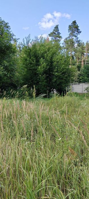 Земельна ділянка с. Червоне Бучанського району