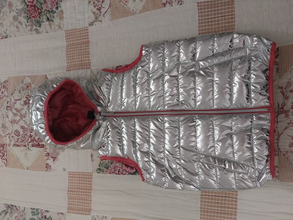 Bezrękawnik jesień